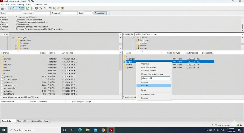 Screenshot of an FTP client