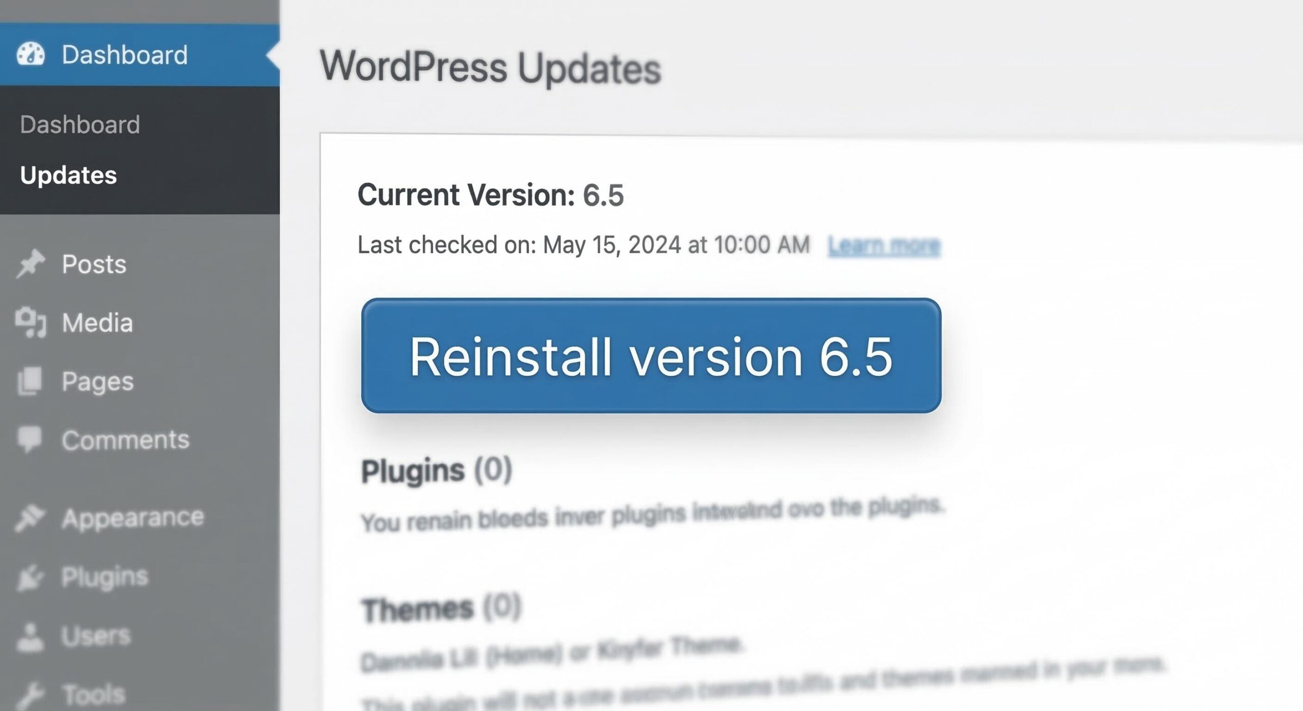 Screenshot visualization showing the _Reinstall version_ button in the WordPress dashboard.