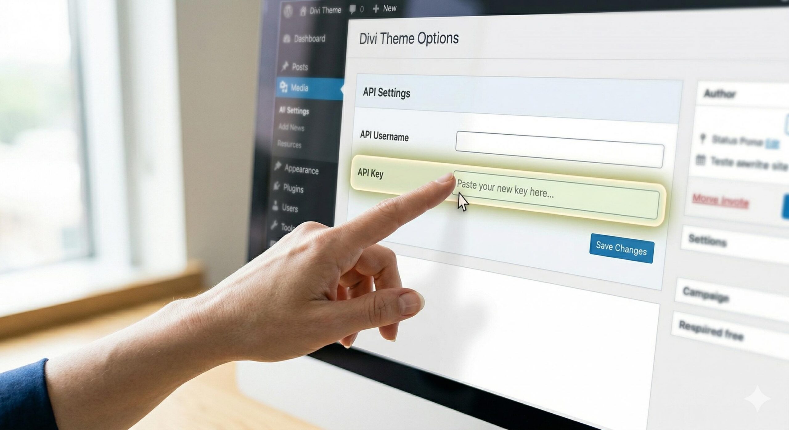 Close-up photo of hand pointing to API key field in a WordPress dashboard.